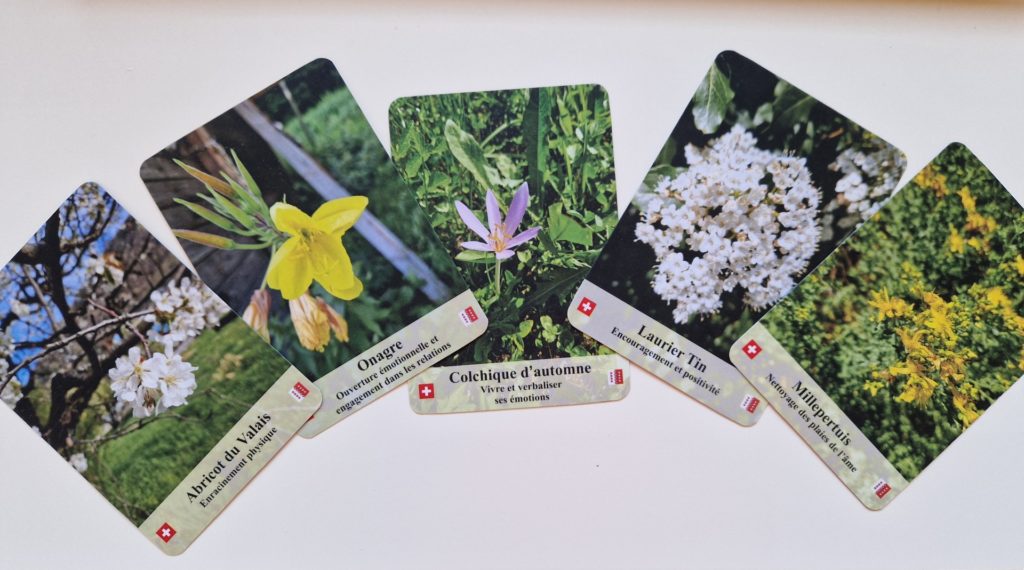 Jeu-de-cartes-élixirs_floraux.du-valais