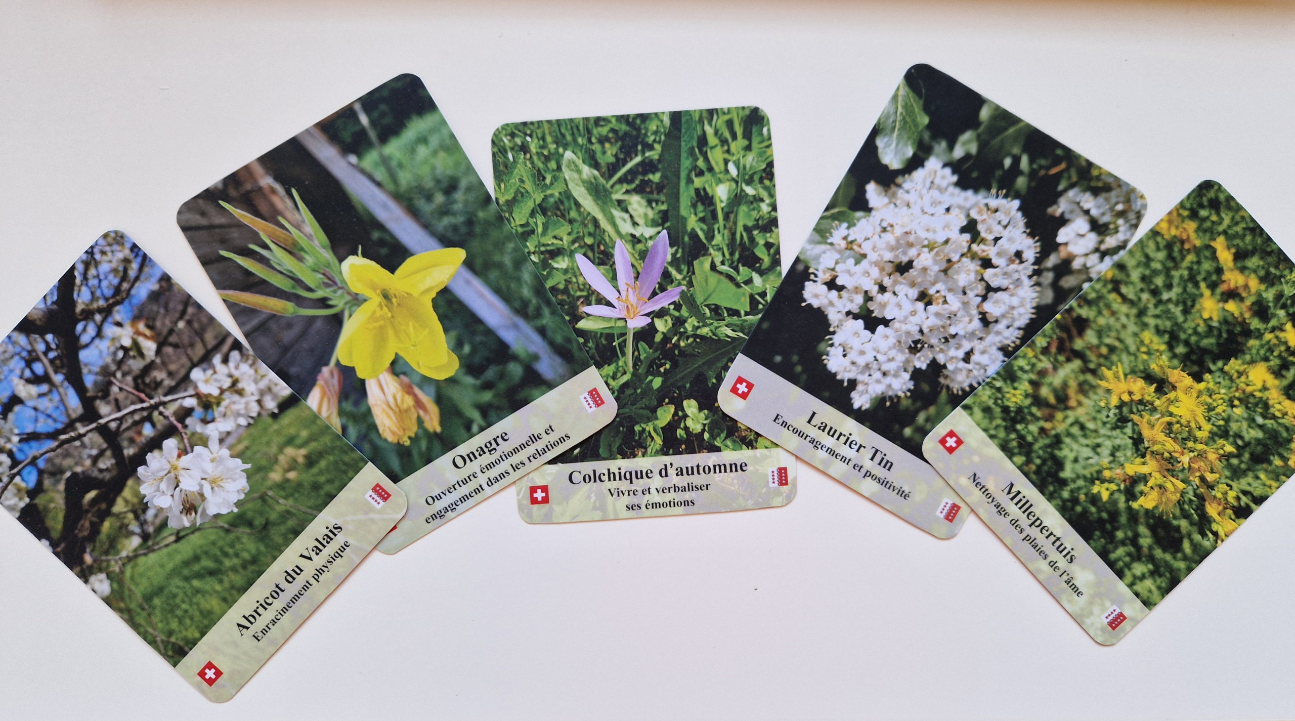 Jeu-de-cartes-élixirs_floraux.du-valais