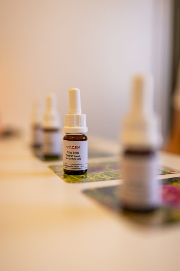 Formation-élixirs-floraux-du-Valais